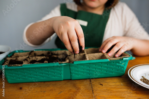 child sows seeds in peat pots, planting seedlings