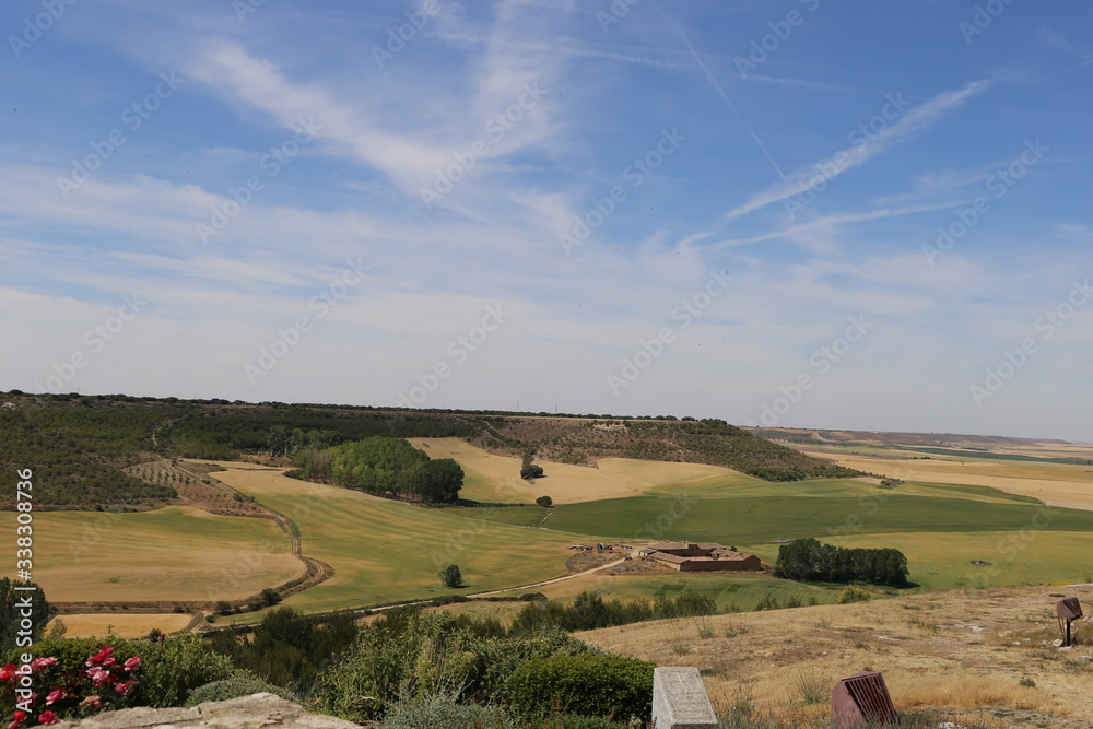 Fototapeta premium Campos de cultivo