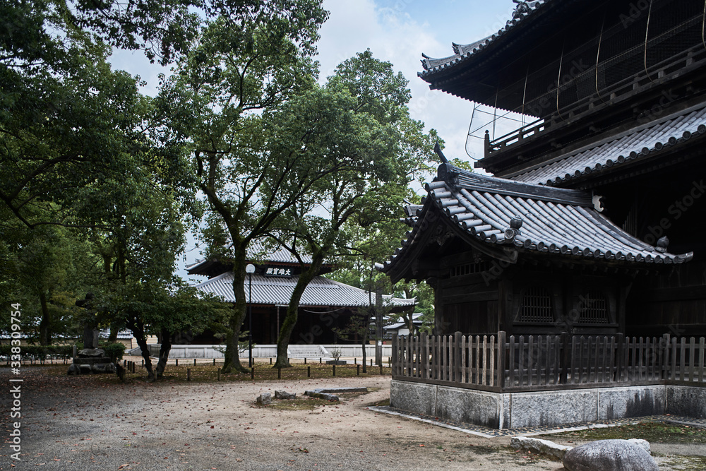 Japanese Buddhist Temples and Trees