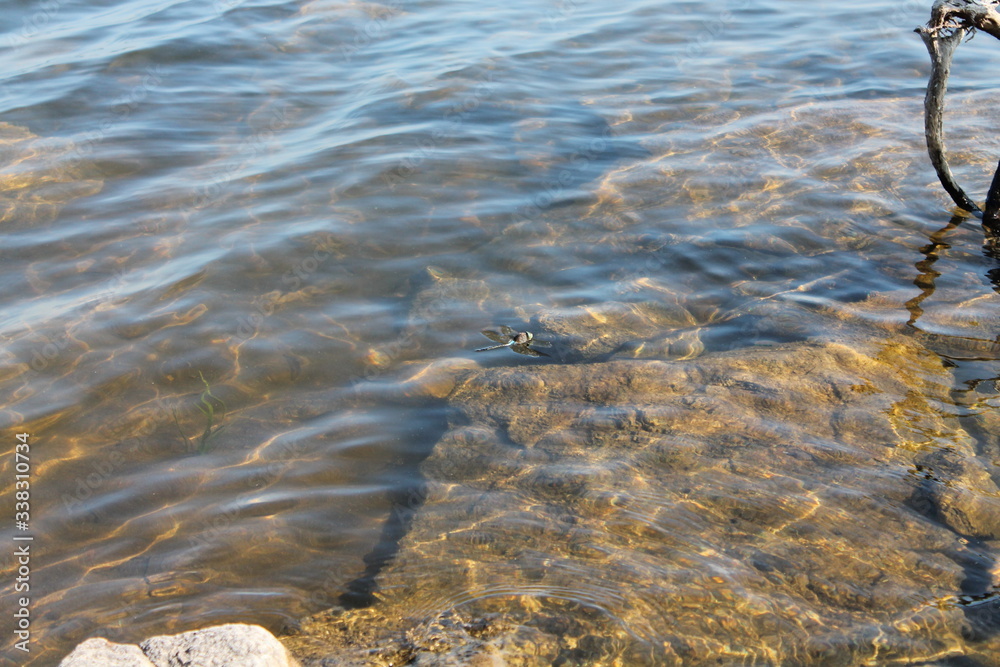 water and stones