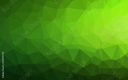 Light Green vector abstract mosaic backdrop. Triangular geometric sample with gradient. Brand new design for your business.