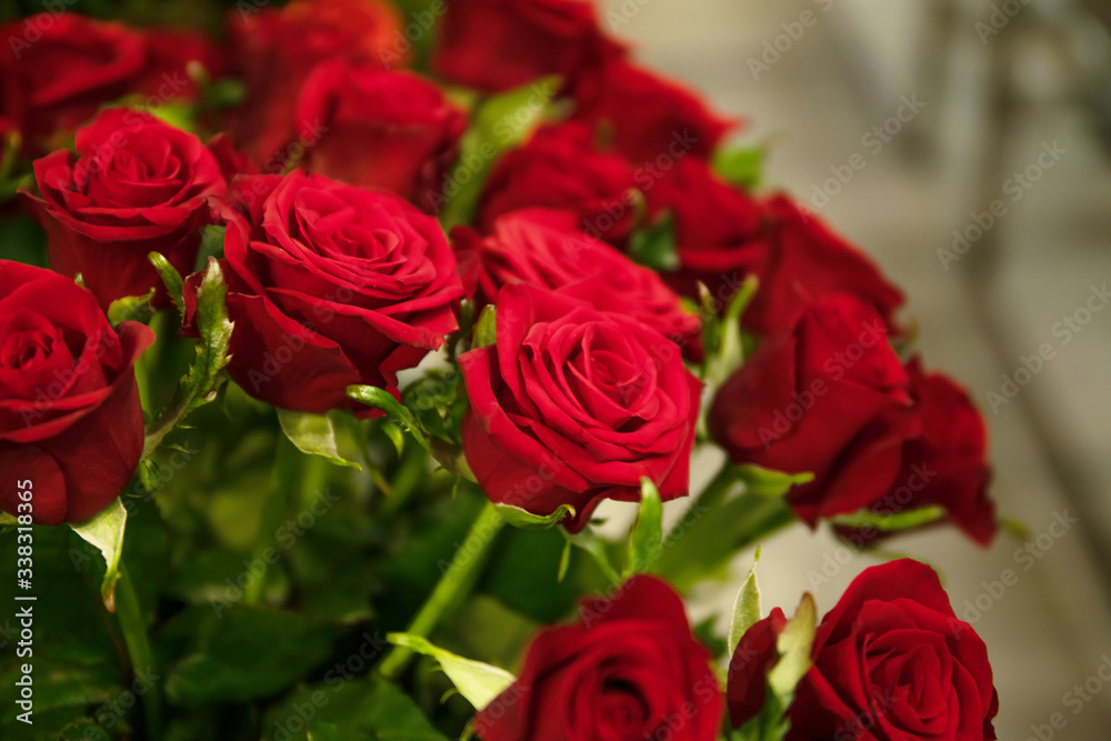 Beautiful red roses in a vase. Place for text Beautiful red roses in a vase. Place for text
