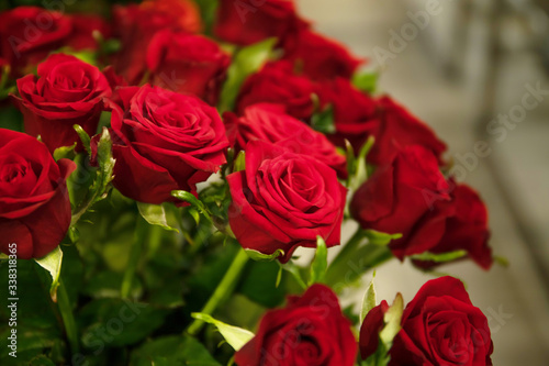 Beautiful red roses in a vase. Place for text
