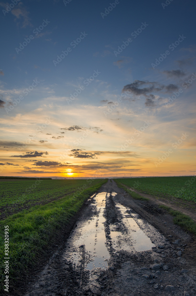 Country road among fields after rain.
