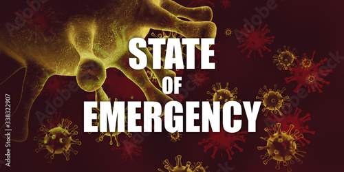 Billede på lærred State of Emergency