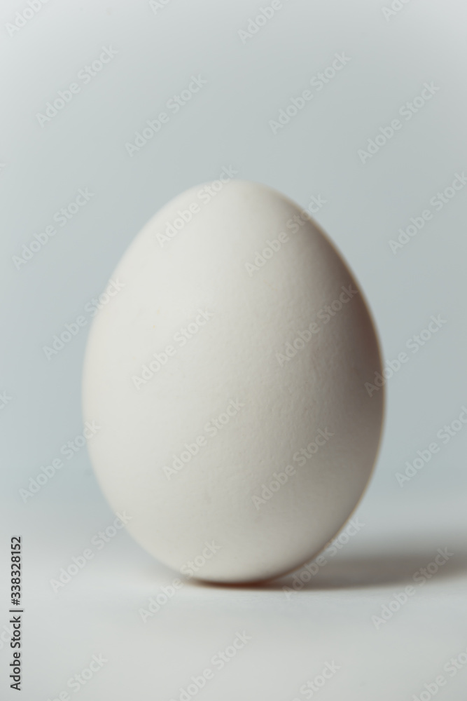 White egg with shadow on white background White egg with shadow on white background