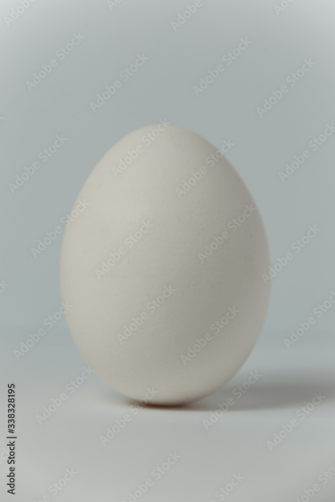 White egg with shadow on the white background White egg with shadow on the white background