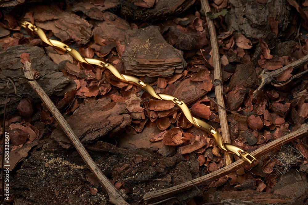 golden bracelet in the shape of a snake lies on the ground in the forest golden bracelet in the shape of a snake lies on the ground in the forest