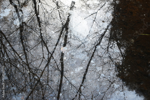 Water surface like a painting. Oil film by bacteria on water surface