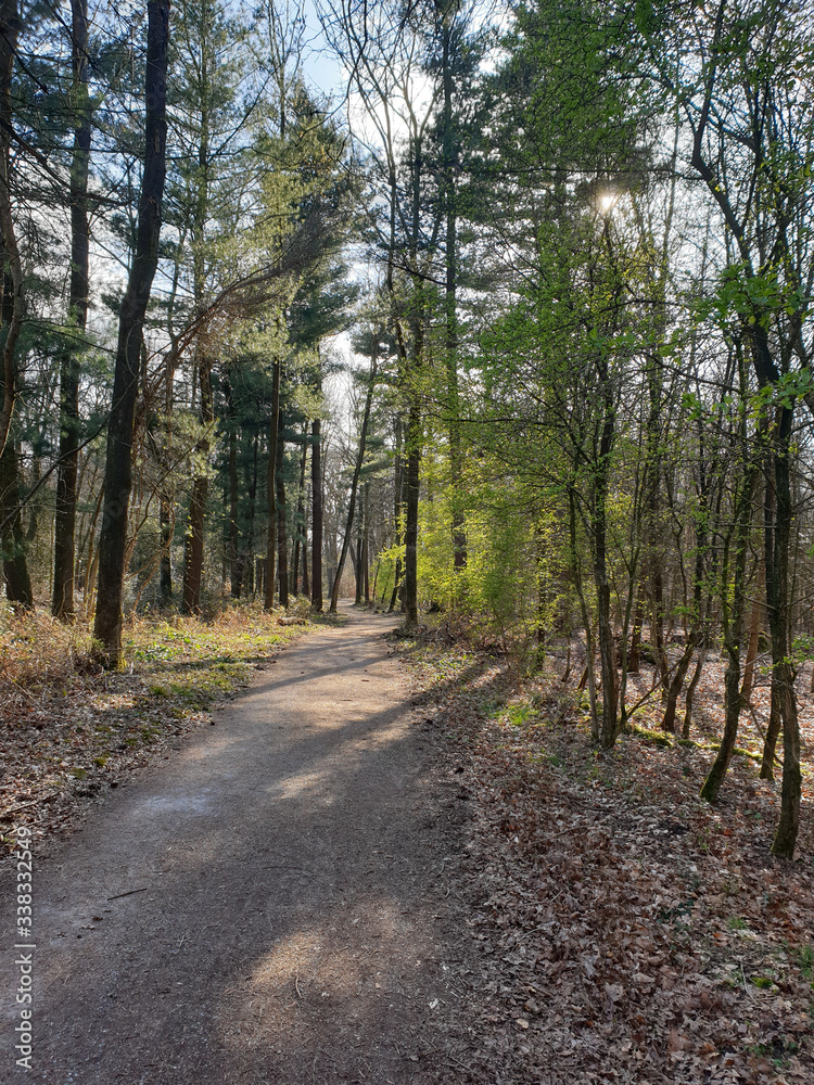 Uhlenhorster Wald - Mülheim an der Ruhr