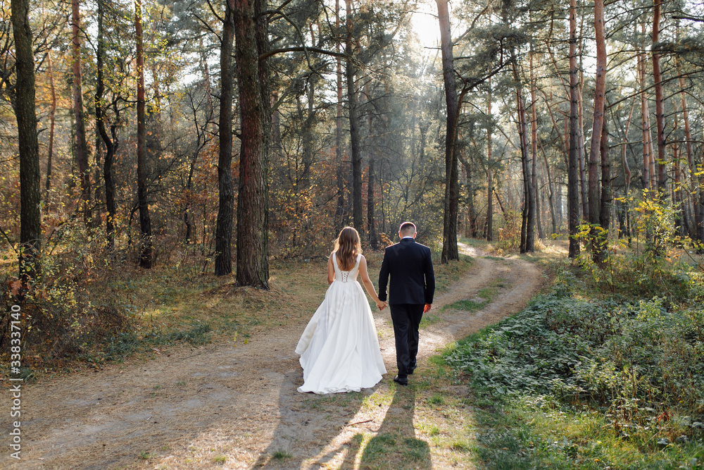 Romantic photo in the fairy forest. Beautiful woman Romantic photo in the fairy forest. Beautiful woman