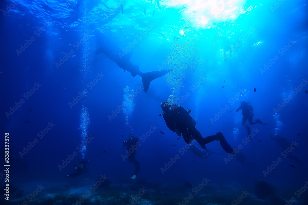 diver breathes air under water bubbles, releases gas, landscape underwater depth diver breathes air under water bubbles, releases gas, landscape underwater depth