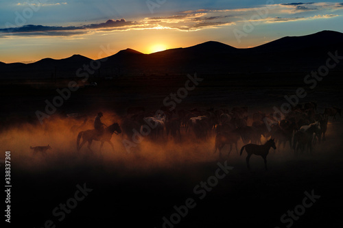 Native cowboys graze their horses. Hundreds of years old horse lives on the slopes of Mount Erciyes.