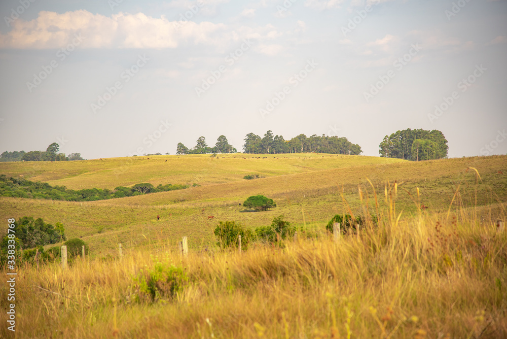 Rural landscape in southern Brazil Pampa biome area and livestock fields Rural landscape in southern Brazil Pampa biome area and livestock fields