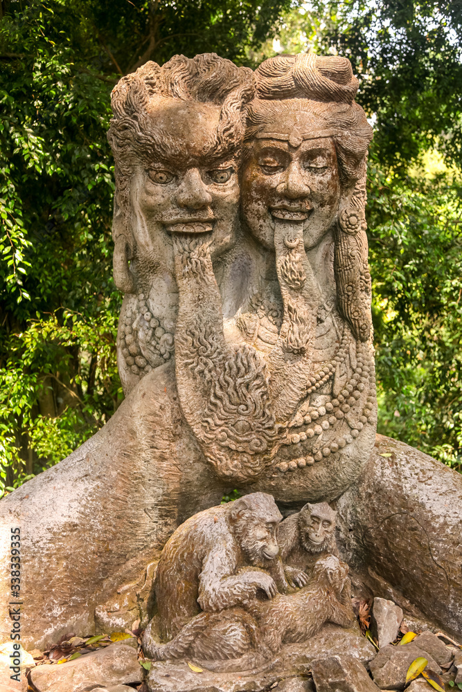 Forest of Monkeys in the city of Ubud on the island of Bali, Indonesia