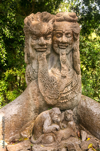 Forest of Monkeys in the city of Ubud on the island of Bali, Indonesia photo