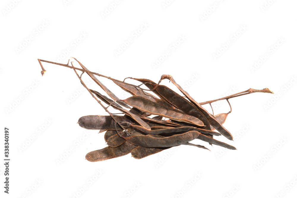 Obraz premium acacia seeds isolated on white background