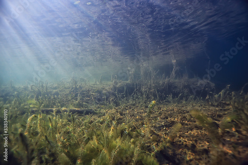 sun rays river underwater landscape   abstract underwater landscape plants fresh ecosystem
