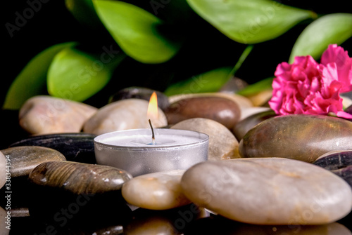 Canvas Print Zen Spa Holistic scene