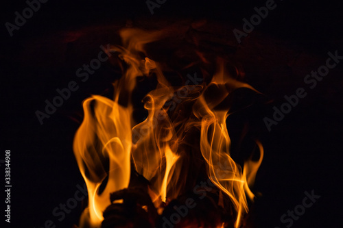 Burning wood in the furnace. Fiery tongues of flames