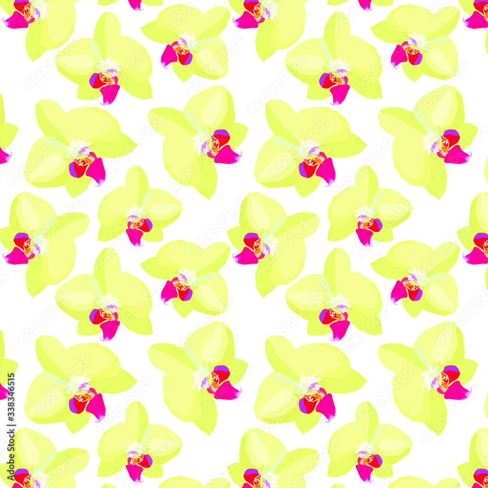 Flower yellow orchid on a white background. Botanical illustration a detailed image of an orchid flower. Cream orchids during flowering. Flower yellow orchid on a white background. Botanical illustration a detailed image of an orchid flower. Cream orchids during flowering.