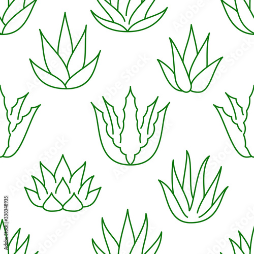 Aloe vera background, agave plant seamless pattern. Succulent wallpaper with line icons of aloevera leaves. Herbal medicine vector illustration green white color photo