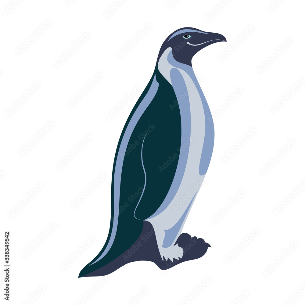 Obraz premium Vector illustration of penguin. Isolated on white background.