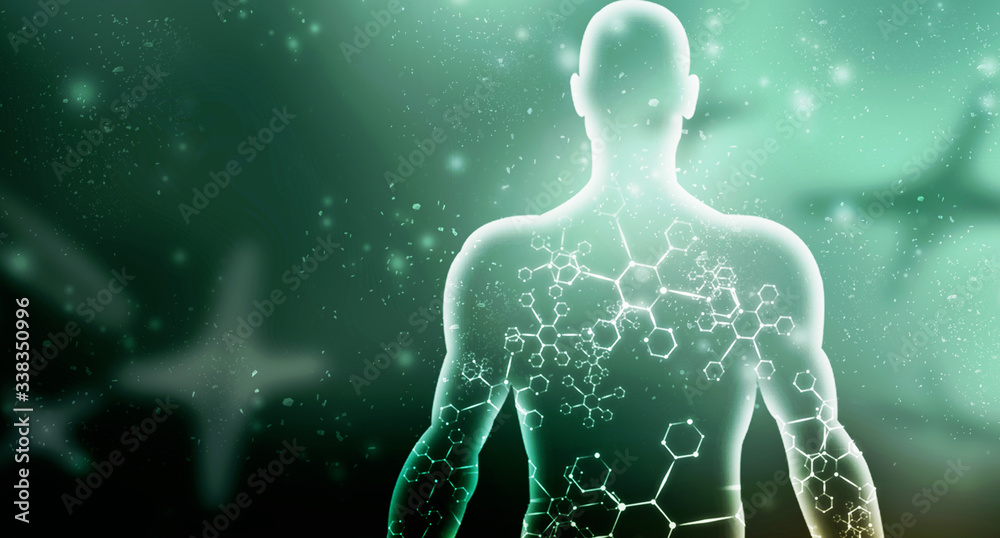2d illustration Human Male Muscle Body 2d illustration Human Male Muscle Body