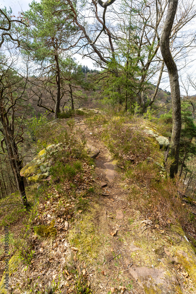 Wanderweg Frankenstein Rheinland Pfalz Deutschland Wanderweg Frankenstein Rheinland Pfalz Deutschland