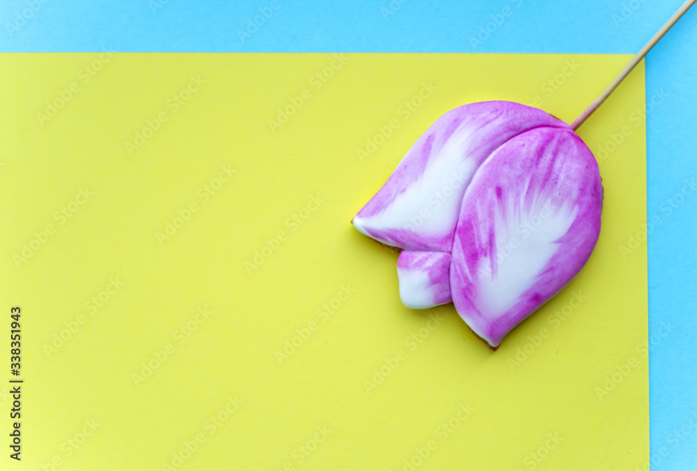 Fototapeta premium Spring cookie in form of pink tulip on yellow and blue geometric background. Beautiful background for spring holidays.