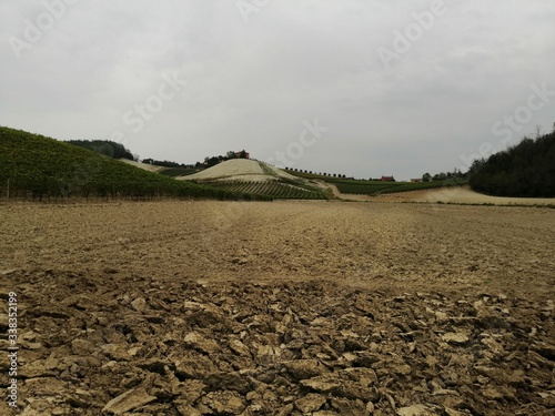 smartcapture
Italy Piemonte Monferrato, Vineyards on the hill