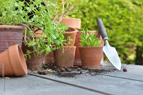 Foto terra cotta flower pots with plants and shovel  on a table in garden