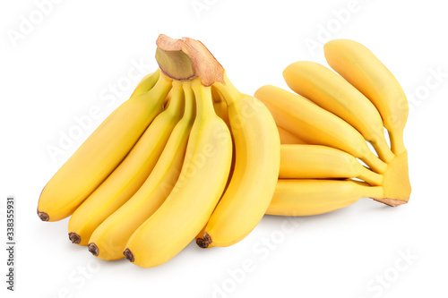 baby banana bunch isolated on white background with clipping path and full depth of field