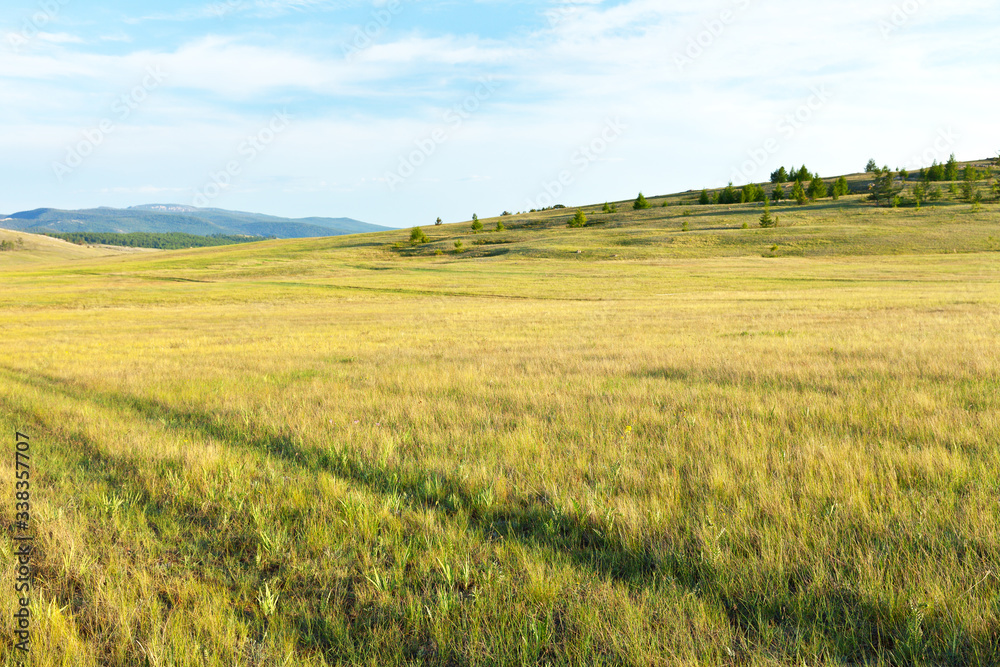 Baikal Lake. A dirt road to Cape Khoboy along the steppe part of Olkhon Island with lush green grasses, field thistle and fragrant thyme. Summer travel, natural background, beautiful landscape