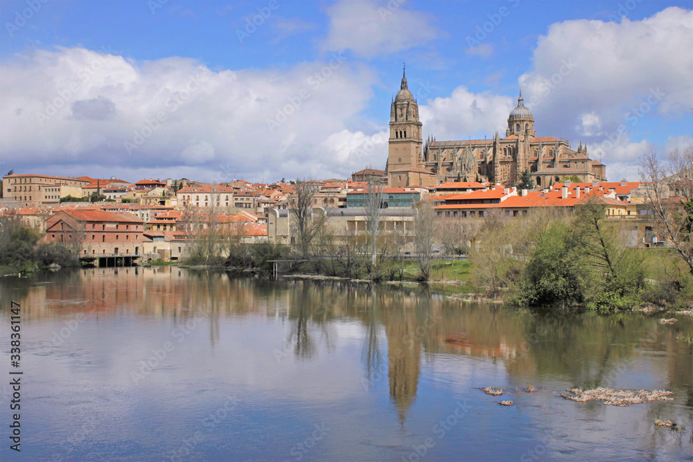 View of the new cathedral of Salamanca, Spain, from the Tormes river.
