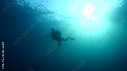 Wallpaper Mural scuba divers coming down descending scenery underwater sun beams and rays sun shine silhouette scenery Torontodigital.ca
