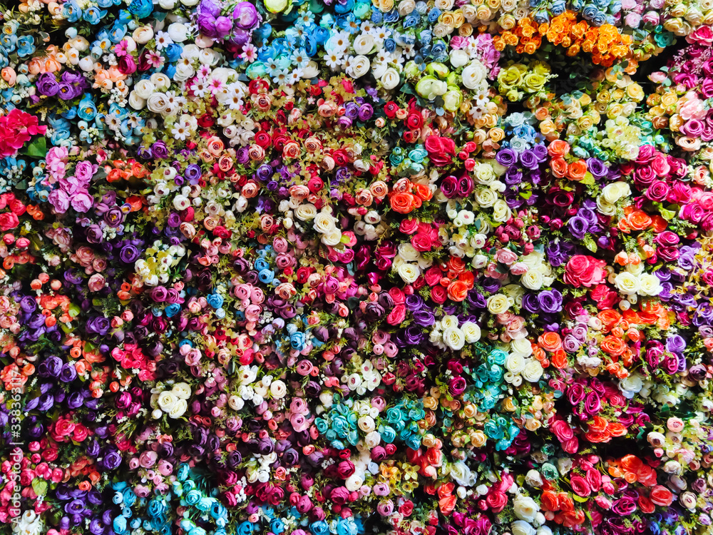 Flower wall background, beatiful and colorful flower texture 