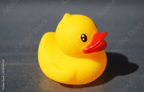 Yellow rubber duck isolated on gray background