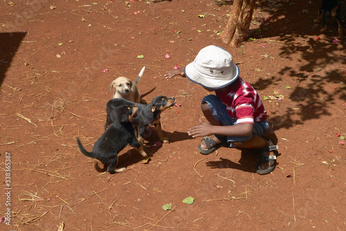 Sticker Child playing with dogs in animal shelter at Nairobi, Kenya, Africa