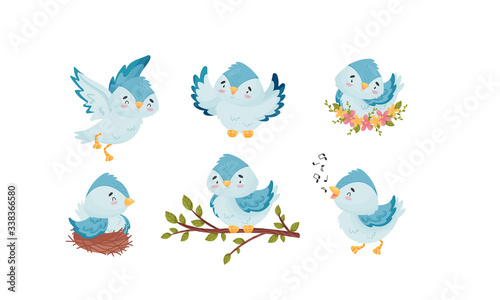 Cute Blue Bird Sitting in the Nest and Flying with Spread Wings Vector Set