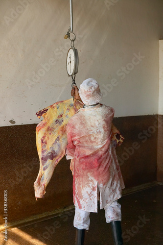 Cow carcass on scale being weighed at Nyongara slaughterhouse in Nairobi, Kenya, Africa photo