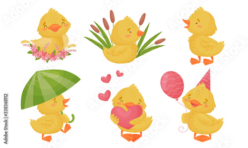 Yellow Chicken Sitting in Reeds and Walking with Umbrella Vector Set