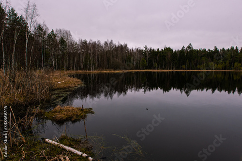 Fototapeta Naklejka Na Ścianę i Meble -  Forest lake