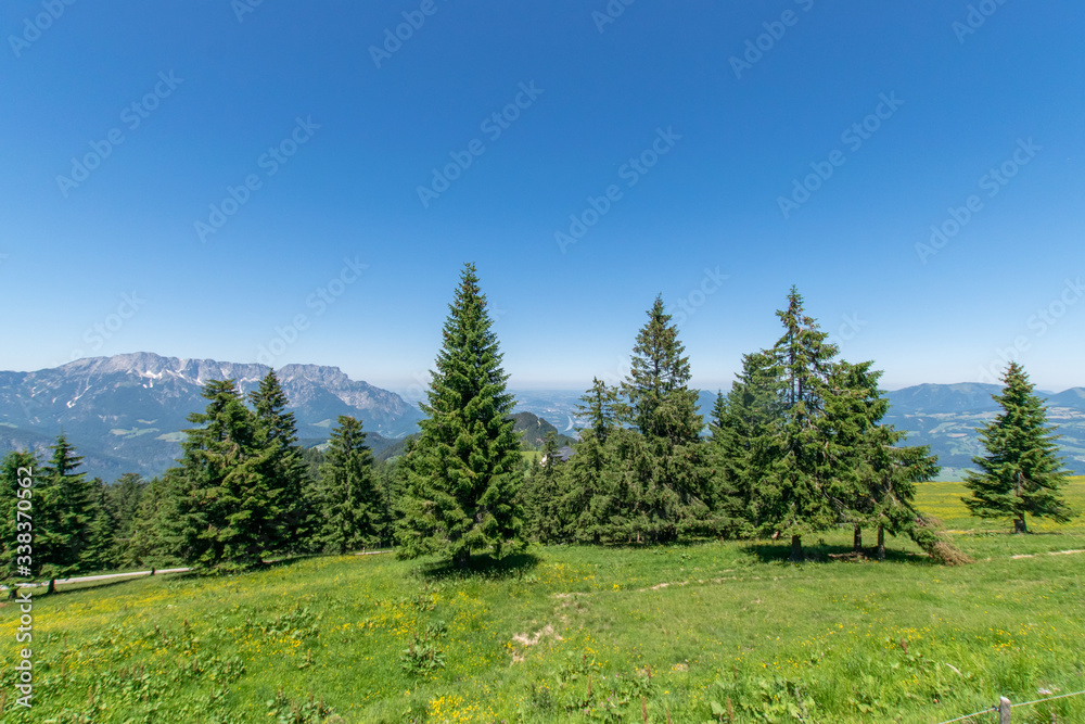 Fototapeta premium mountain landscape in the alps