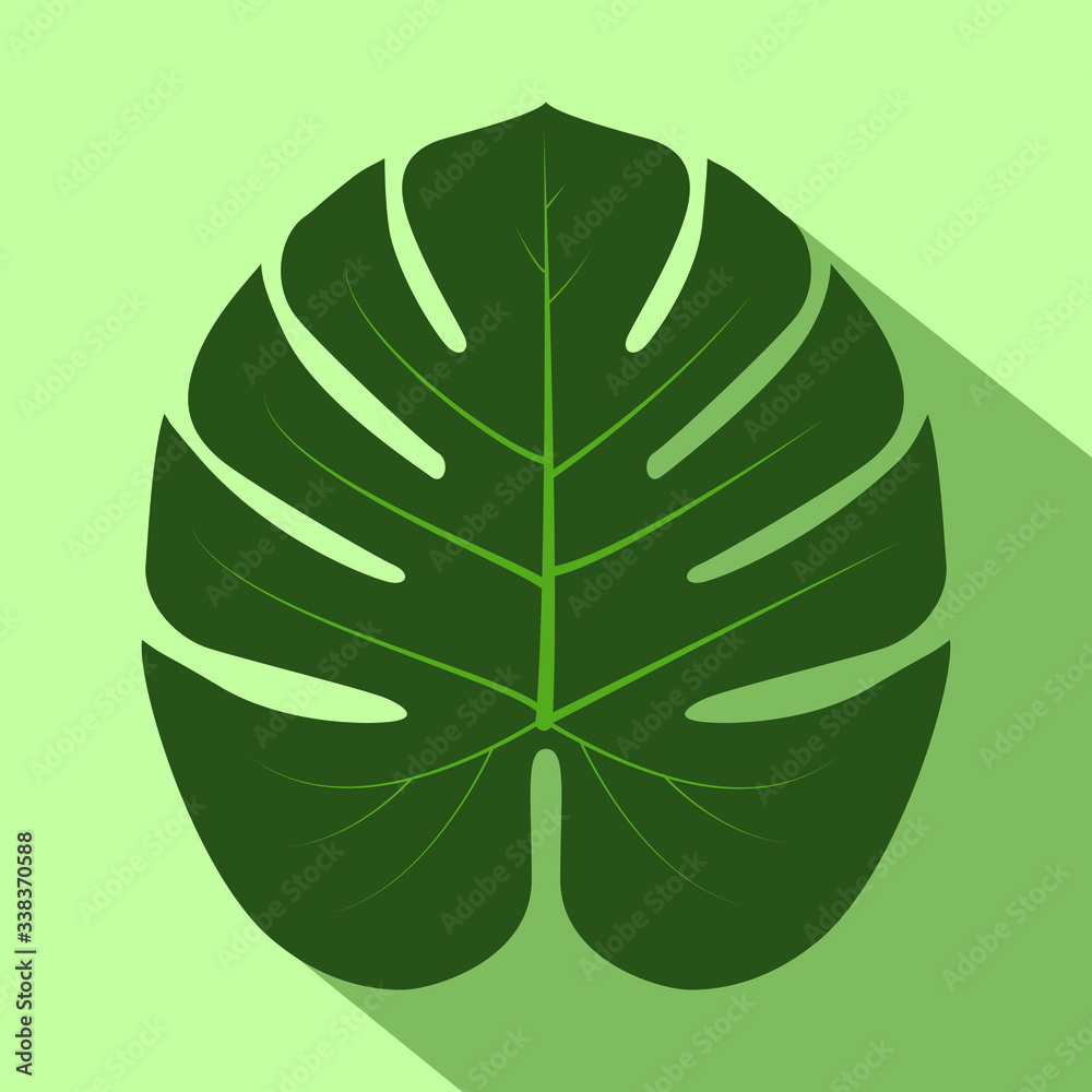 Philodendron leave isolated on green background. Vector illustration. Philodendron leave isolated on green background. Vector illustration.