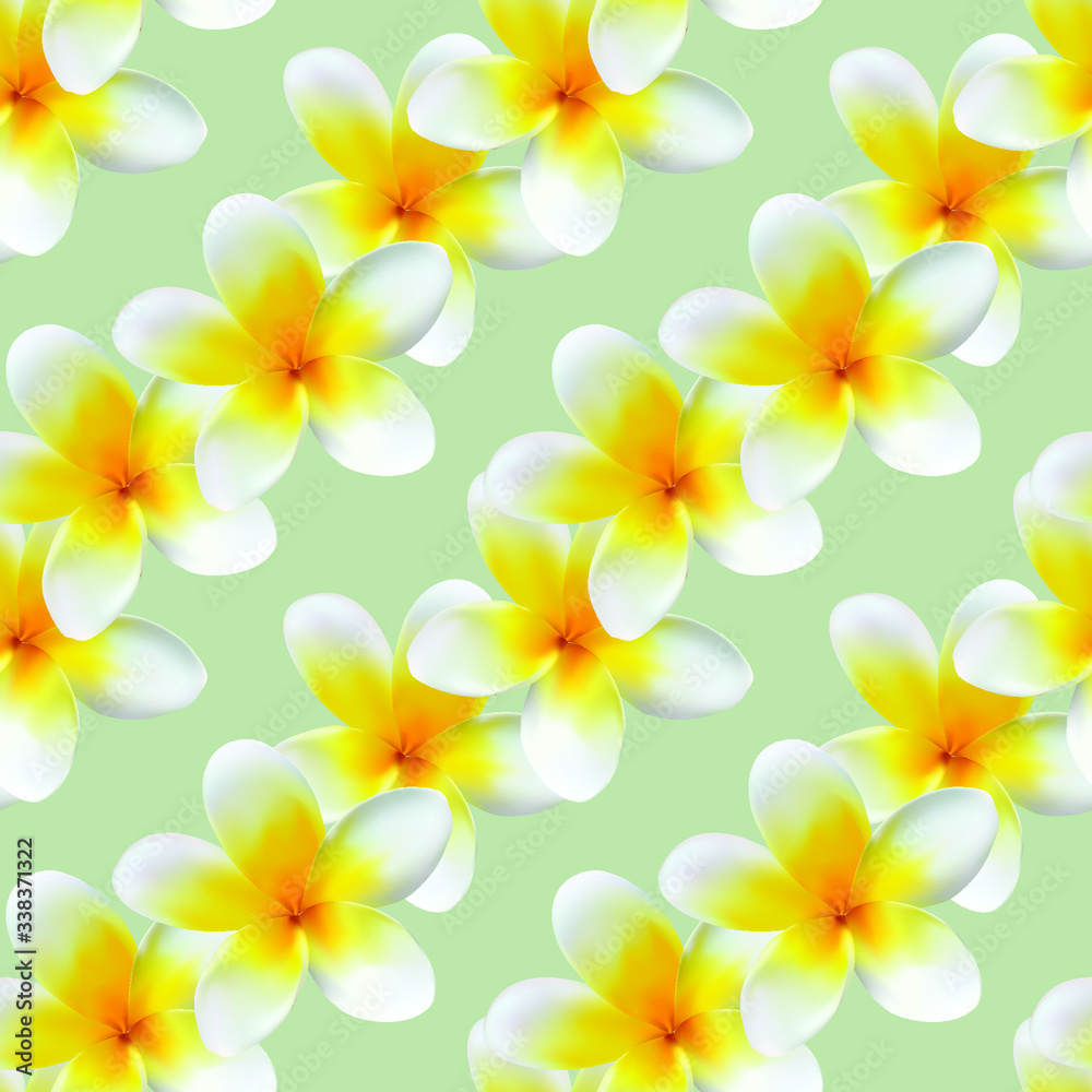 Vector seamless pattern of light yellow plumeria flowers. The flowers are made in a realistic style using the gradient mesh technique. Great for scrapbooking and abstract floral backgrounds. Vector seamless pattern of light yellow plumeria flowers. The flowers are made in a realistic style using the gradient mesh technique. Great for scrapbooking and abstract floral backgrounds.