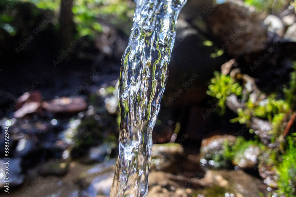 Fototapeta premium Transparent water flows from a spring in the wild close-up. Macro photo.