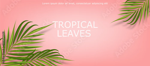 Tropical leaves realistic isolated, pink background, summer banner vector illustration