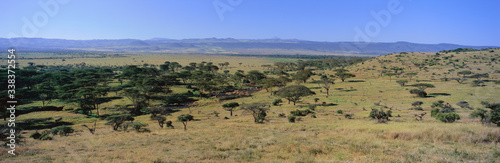 Panoramic landscape of Lewa Conservancy  Kenya  Africa with Mount Kenya in view