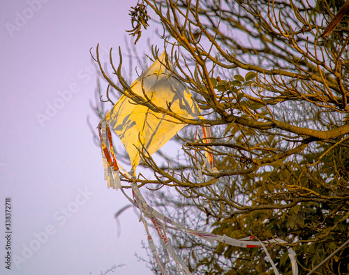 PHOTO OF KITE STUCK ON THE TREE photo